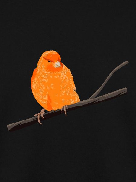 Kanarienvogel auf Zweig