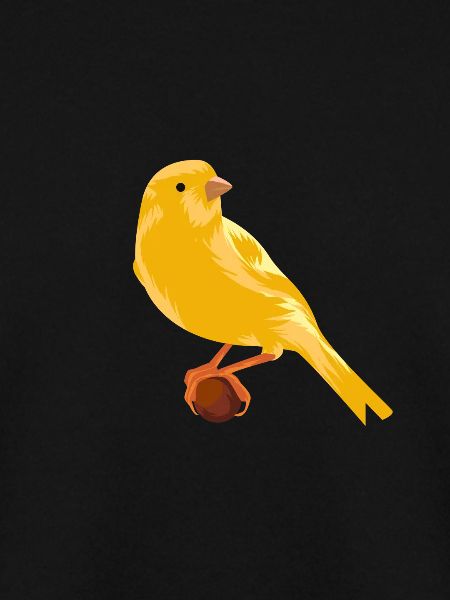 Canary on branch