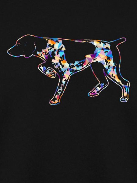 German Shorthaired Pointer