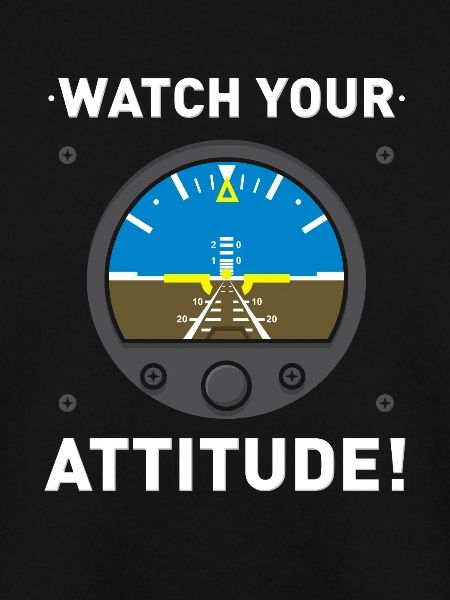 AVIATION: Watch Your Attitude