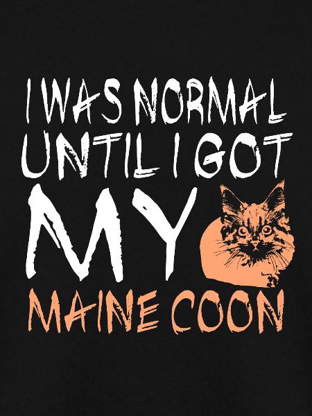 Maine coon