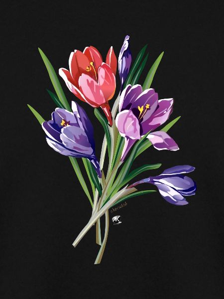 Crocuses illustration