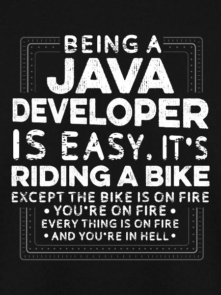 Java Developer