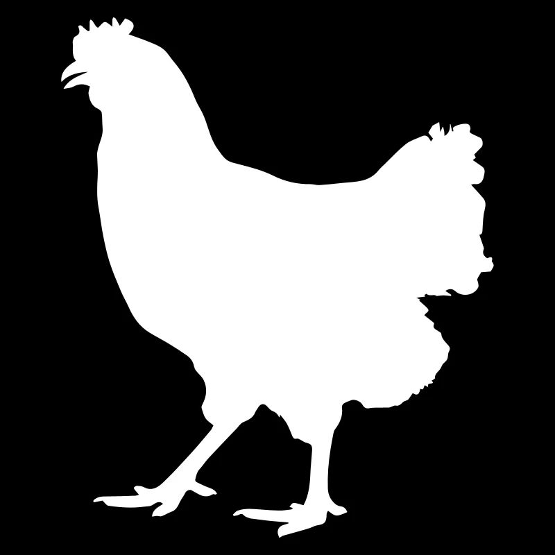 chicken