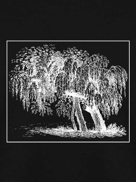 Baum