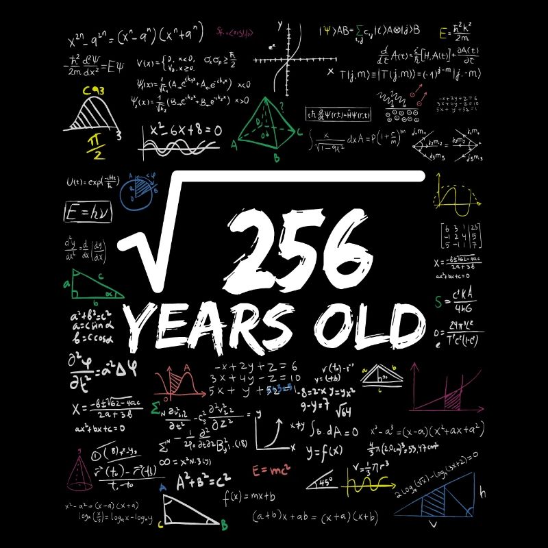 Square Root of 256 16TH Funny Math Birthday