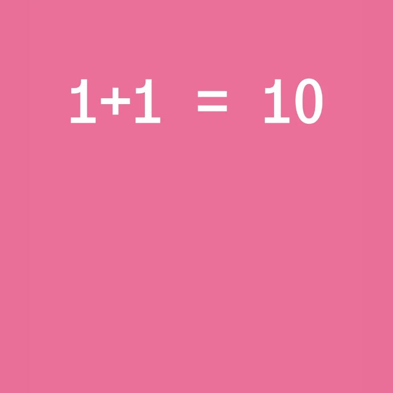 1 + 1 = 10 Funny Programmer Computer Science