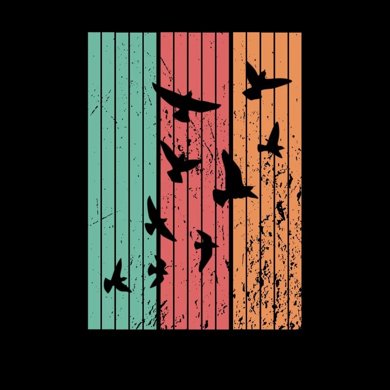 Birds Migratory Birds