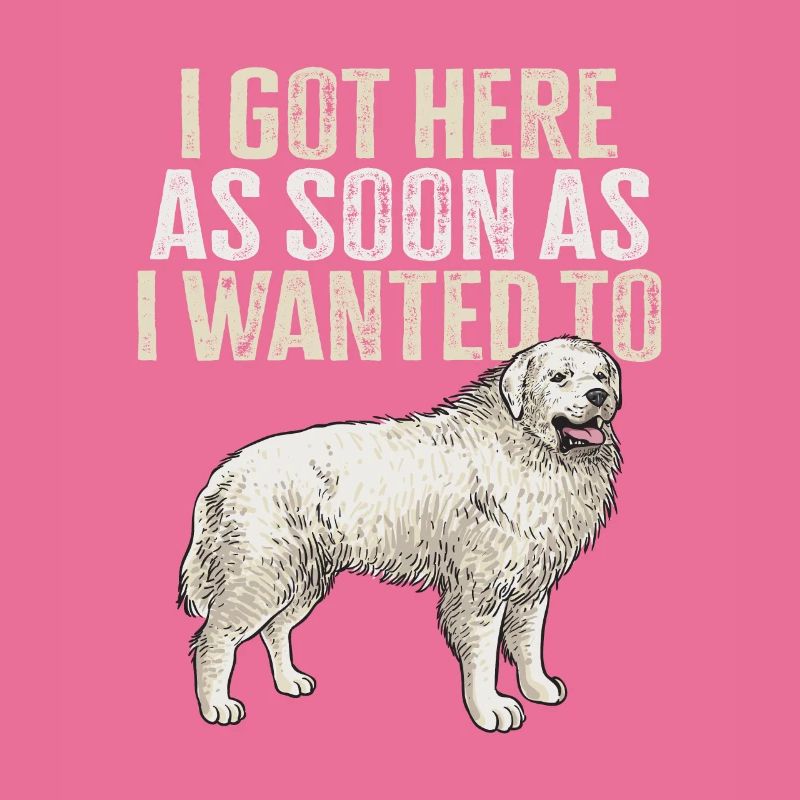 Large Pyrenean Dog