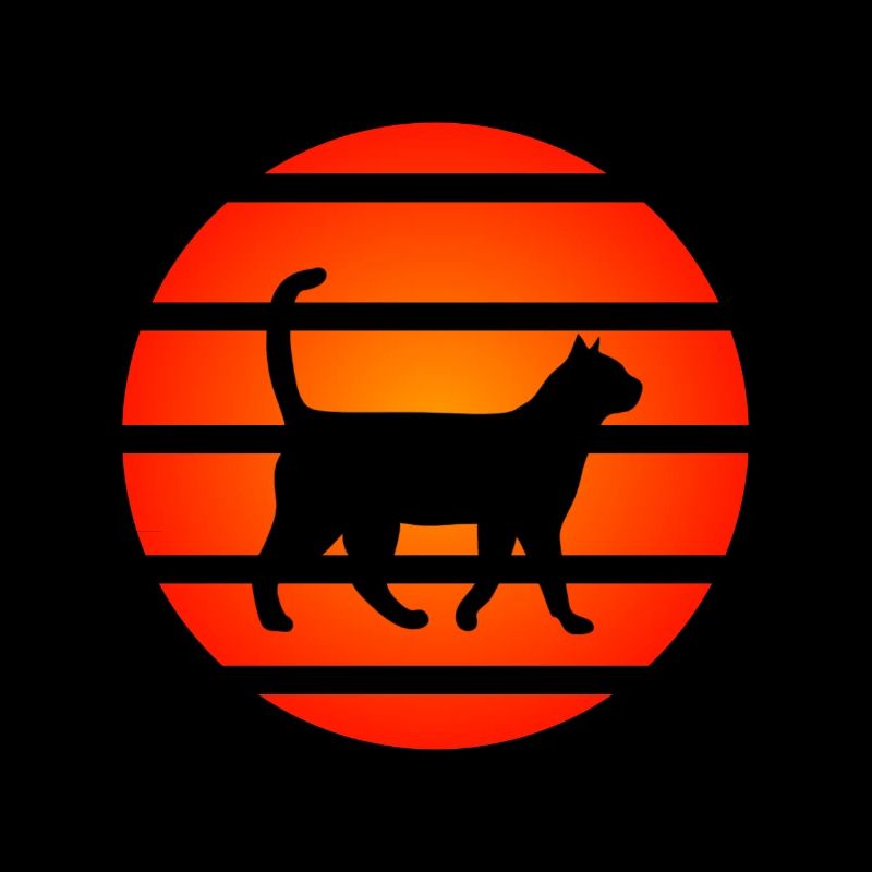 Coucher de soleil de chat