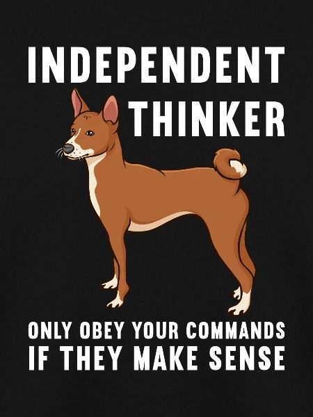 Basenji Hund Geschenk