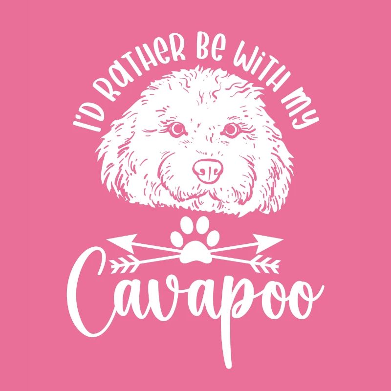 Cavapoo Cavoodle Capoodle Chien