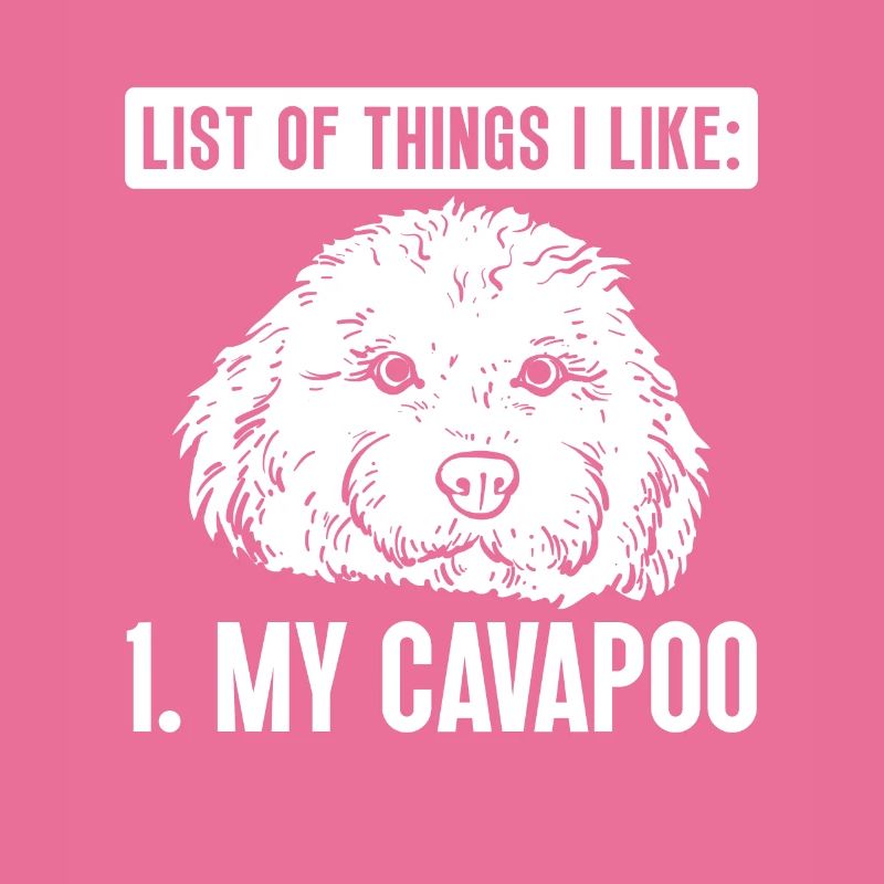 Cavapoo Cavoodle Capoodle Chien