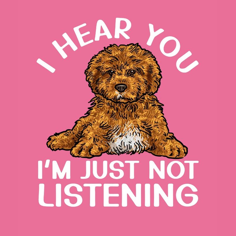 Cavapoo Cavoodle Capoodle Hund