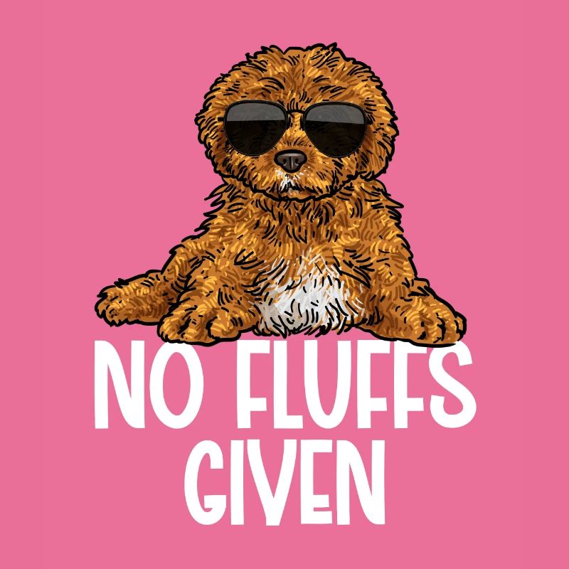 Cavapoo Cavoodle Capoodle Chien