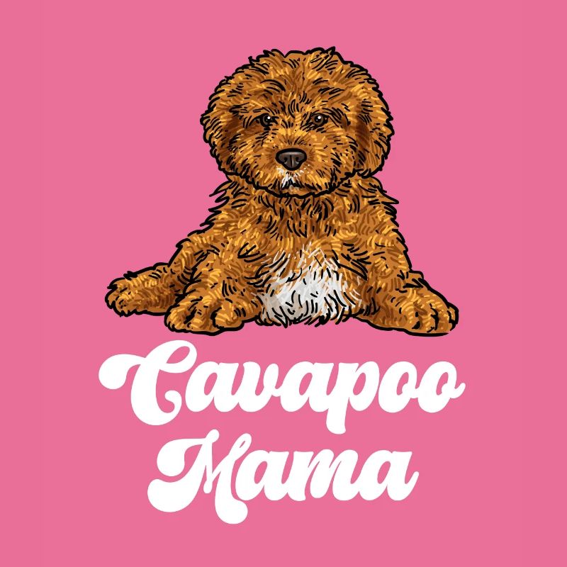 Cavapoo Cavoodle Capoodle Chien