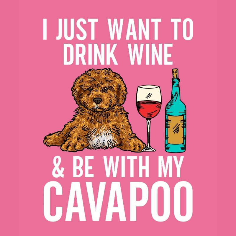 Cavapoo Cavoodle Capoodle Chien