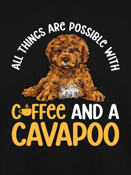 Cavapoo Cavoodle Capoodle Hund