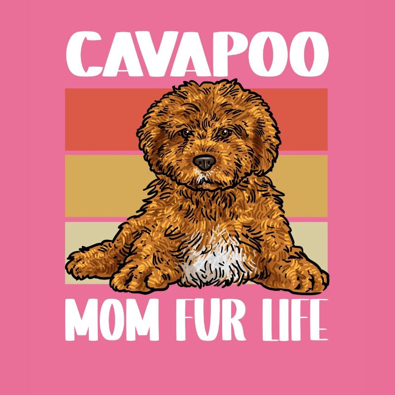 Cavapoo Cavoodle Capoodle Dog