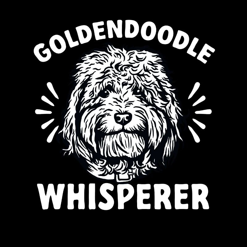 Goldendoodle Doodle Chien