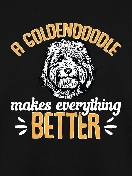 Goldendoodle Doodle Hund
