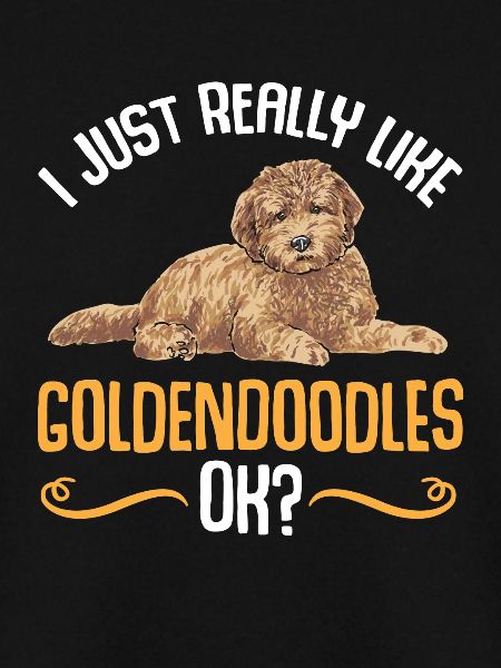 Goldendoodle Doodle Hund