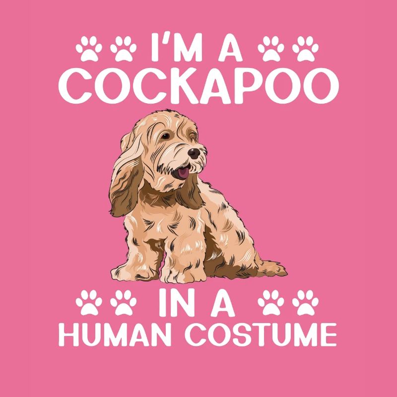 Cockapoo Hund