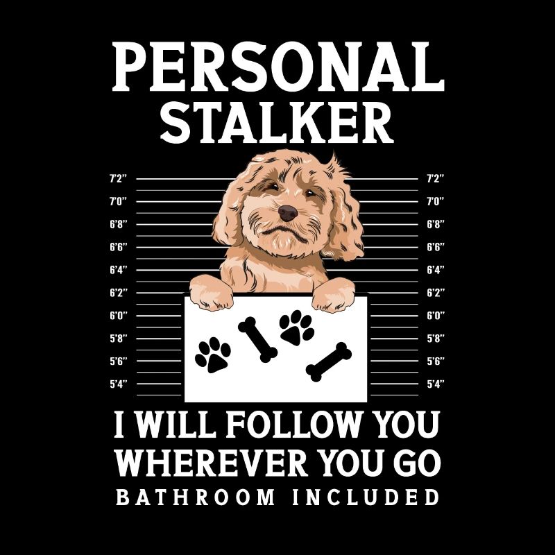 Cockapoo Hund
