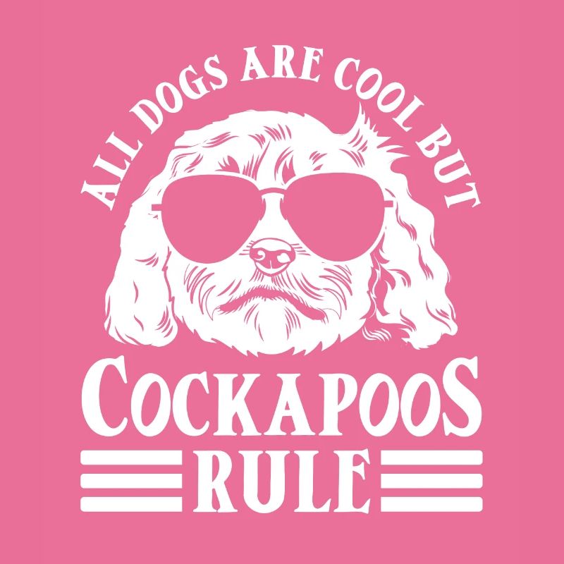 Cockapoo Chien