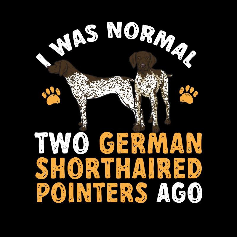 Deutsch Kurzhaar GSP Hund