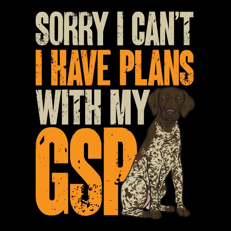 Deutsch Kurzhaar GSP Hund