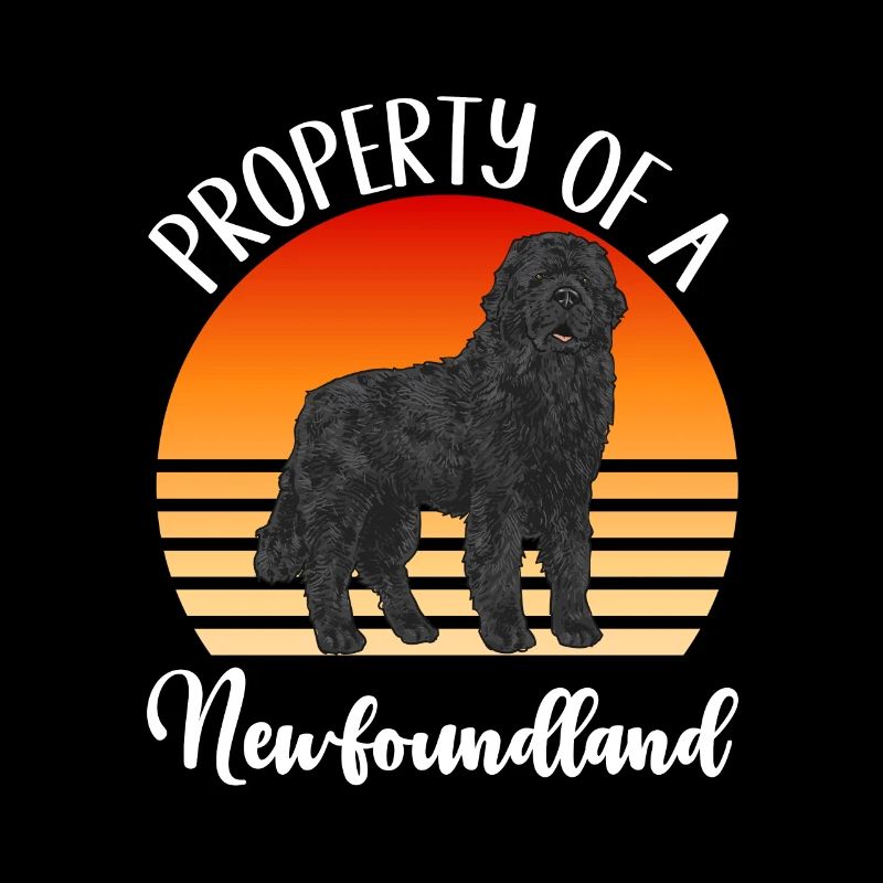 Terre-Neuve Chien de Terre-Neuve
