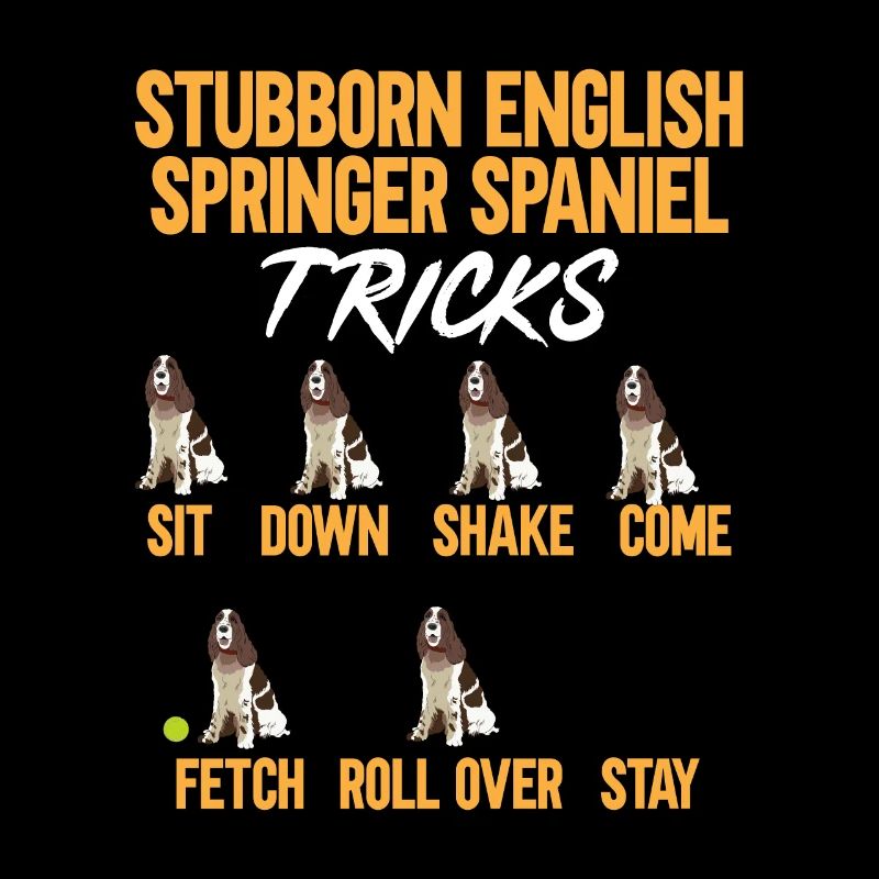 English Springer Spaniel Dog