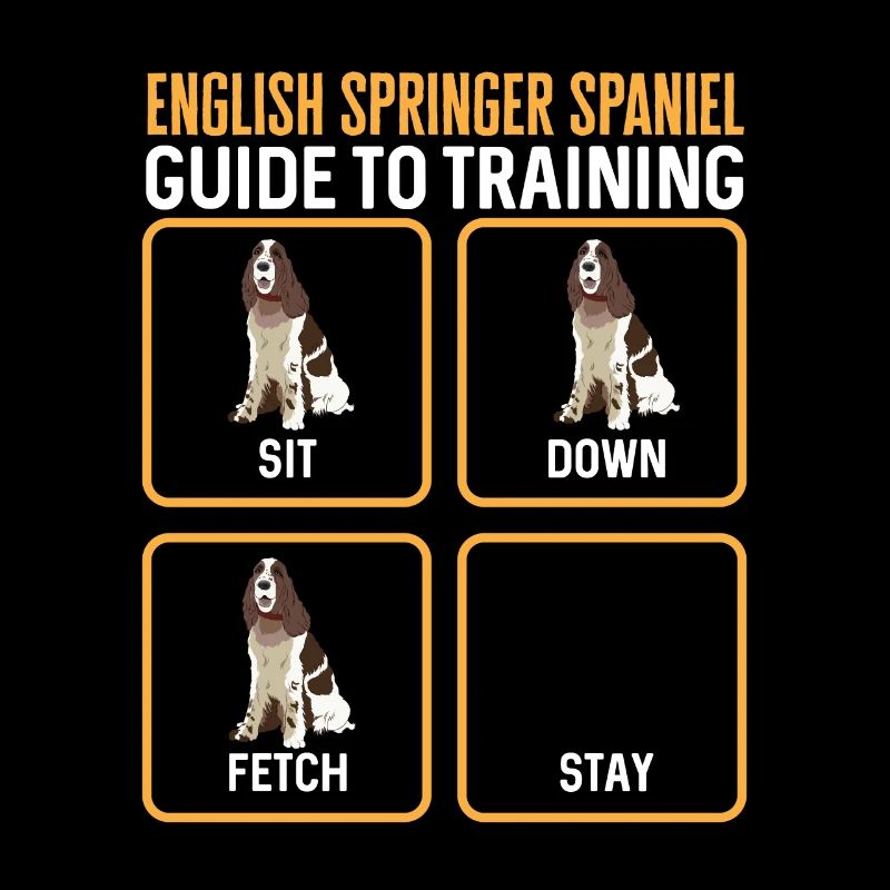 English Springer Spaniel Dog
