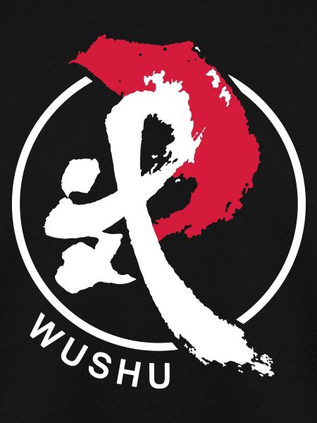 Sanda Wushu