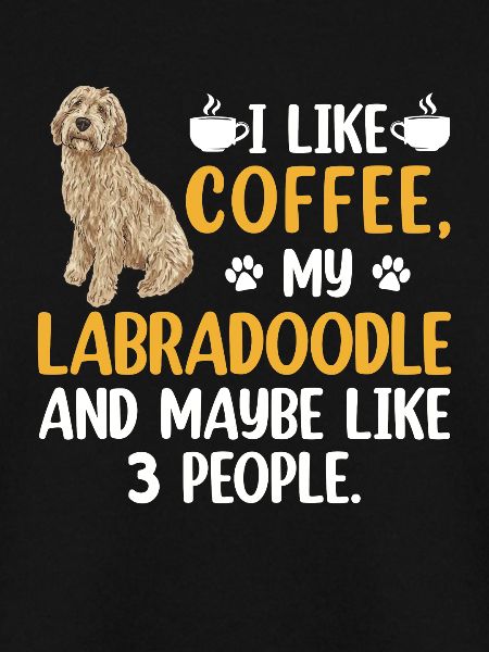 Labradoodle Hund