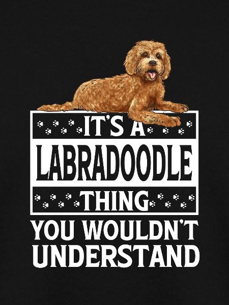 Labradoodle Dog