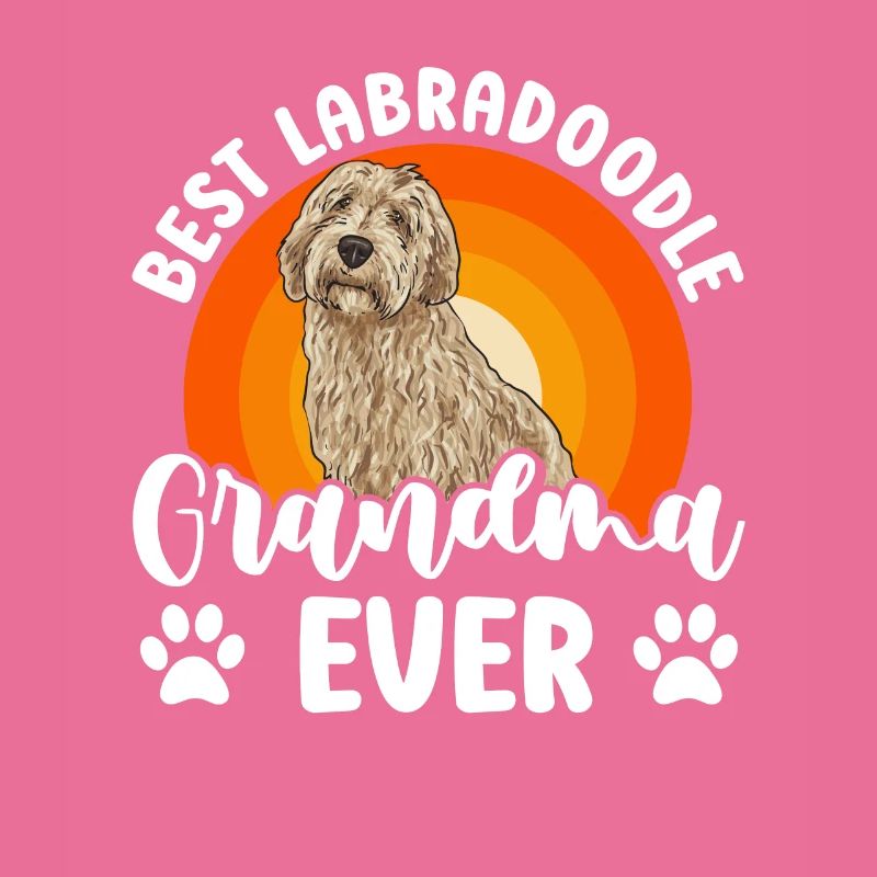Labradoodle Hund