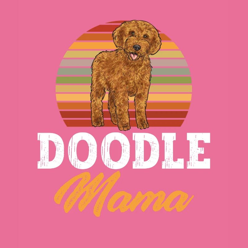 Labradoodle Hund