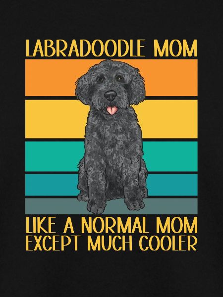 Labradoodle Dog