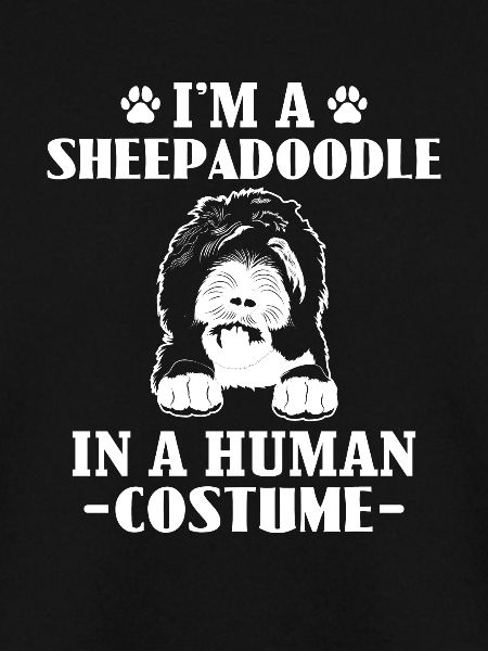 Sheepadoodle Doodle Dog