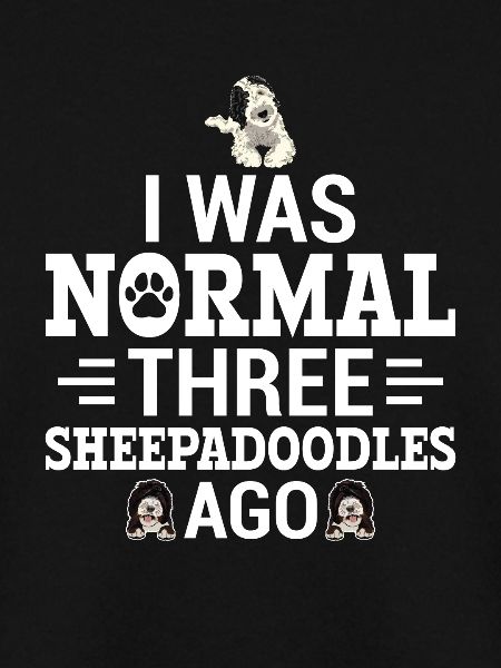 Sheepadoodle Doodle Dog