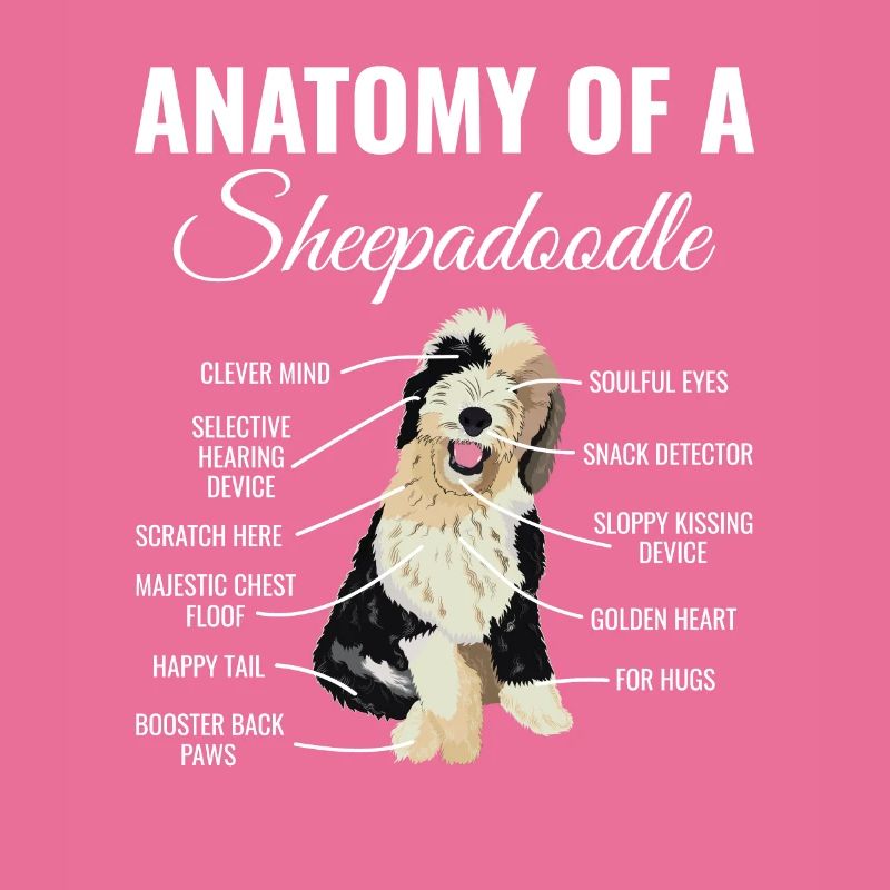 Sheepadoodle Doodle Dog