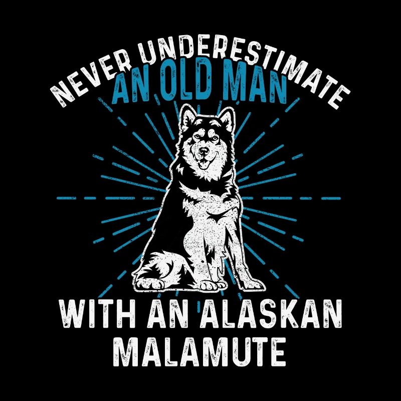 Alaskan Malamute Hund