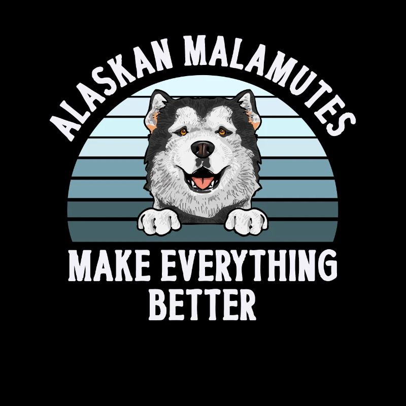 Alaskan Malamute Hund