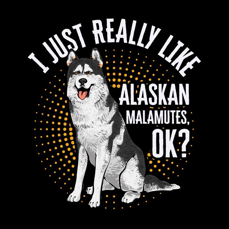 Alaskan Malamute Hund