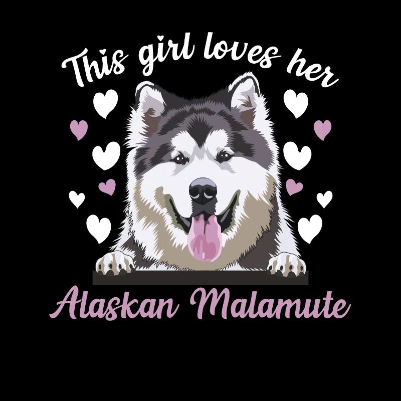 Alaskan Malamute Hund