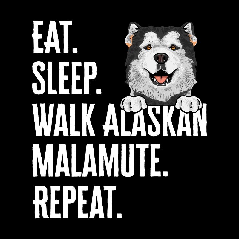Alaskan Malamute Hund