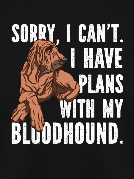 Bloodhound Hund Bluthund