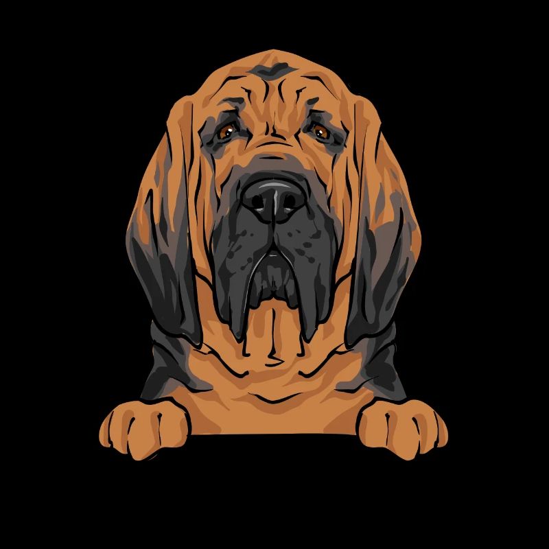 Bloodhound Hund Bluthund